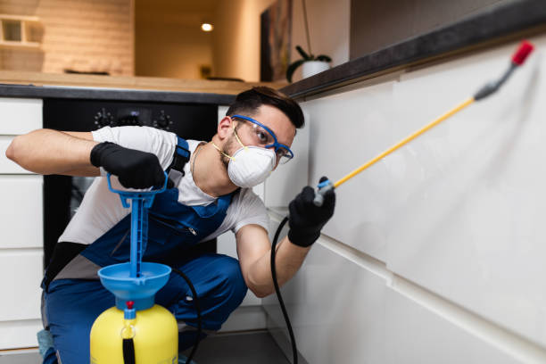 Best Ant Control Services  in Hopewell, VA