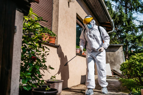 Best Best Pest Control Companies  in Hopewell, VA