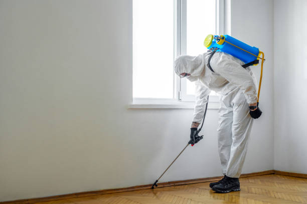 Best Pest Prevention Services  in Hopewell, VA