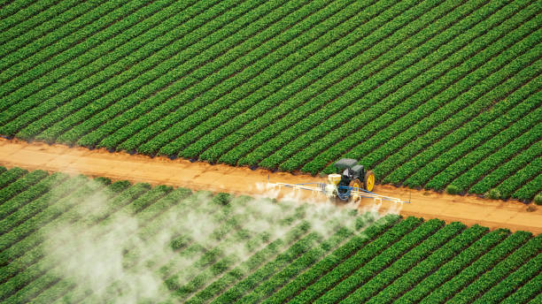 Best Pest Removal Services  in Hopewell, VA