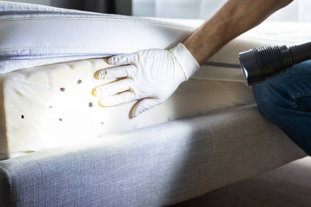 Best Pest Control Treatment  in Hopewell, VA