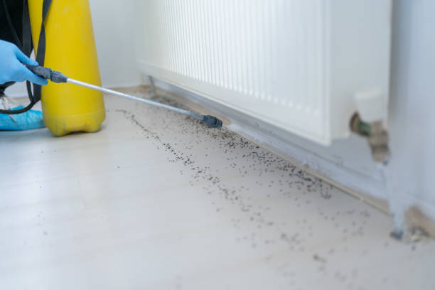 Best Affordable Exterminators  in Hopewell, VA