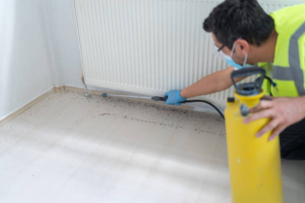 Best Termite Control Services  in Hopewell, VA