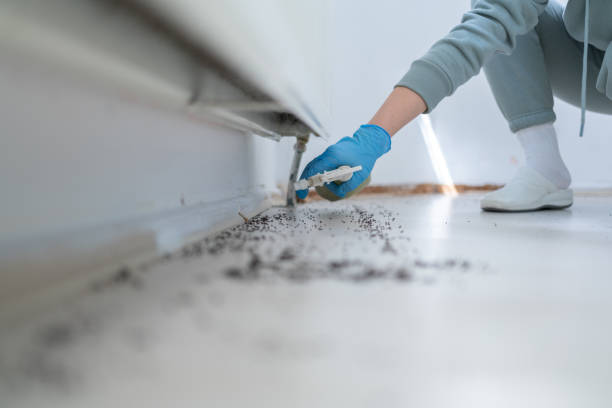 Best Pest Control Near Me  in Hopewell, VA